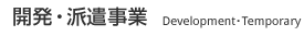 開発・派遣事業